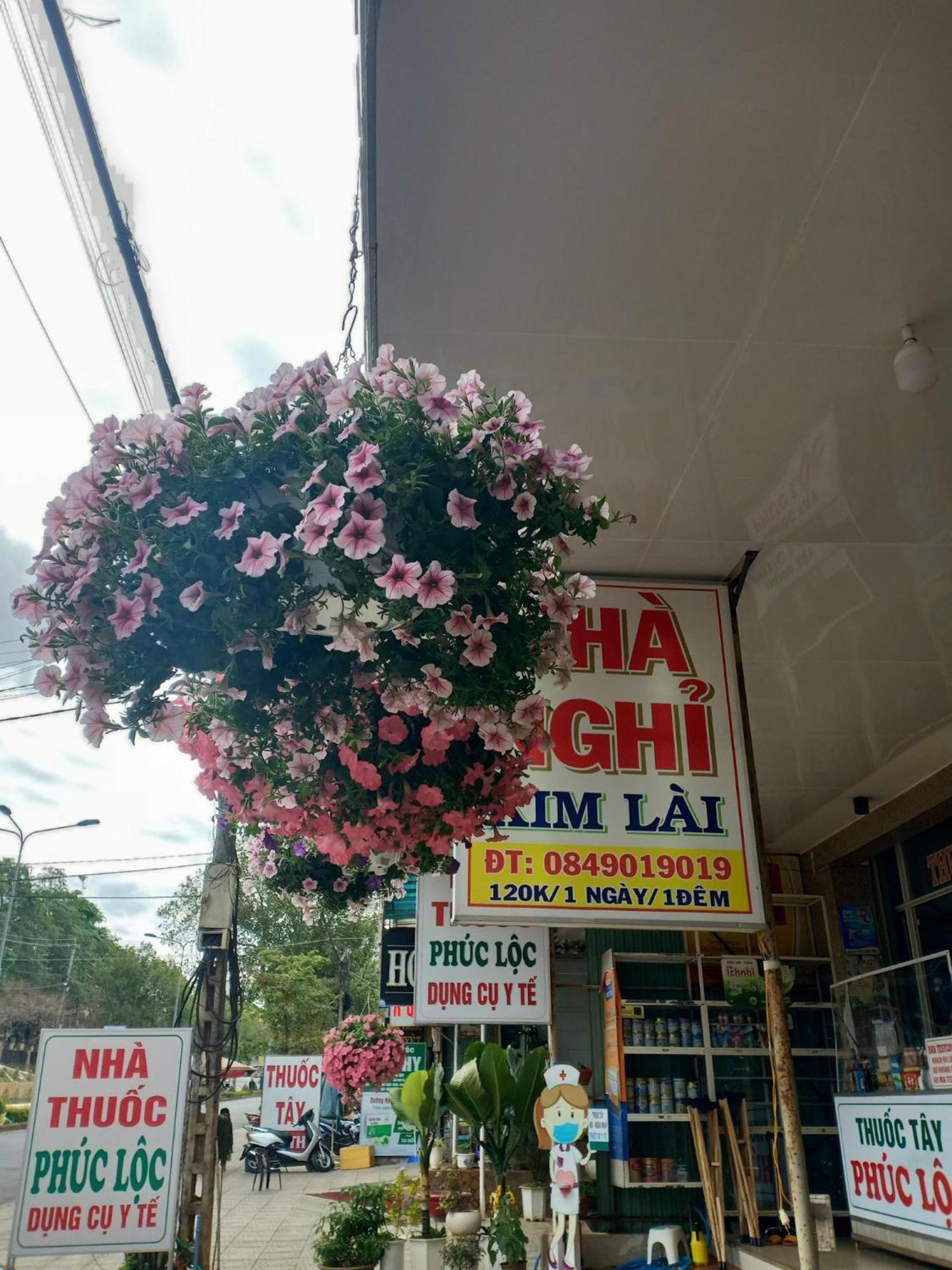 פלייקו Nha Nghi Kim Lai - Doi Dien Benh Vien Tinh Gia Lai -132 Ton That Tung מראה חיצוני תמונה